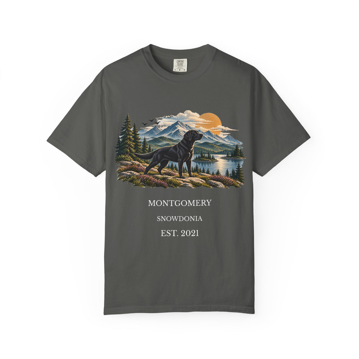 Personalised Horizon Dog T-Shirt D01